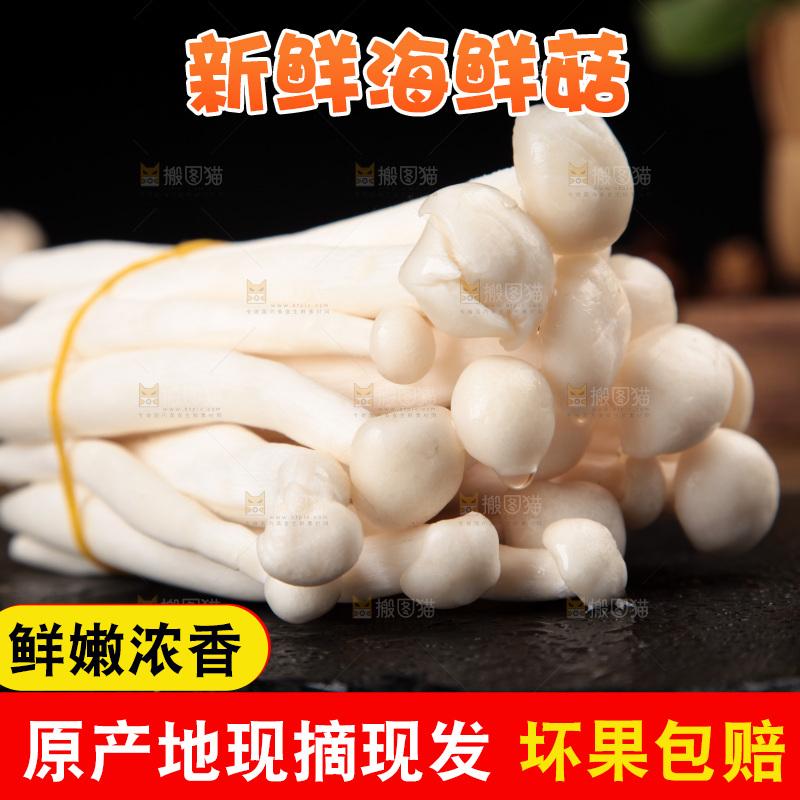深底上的海鲜菇