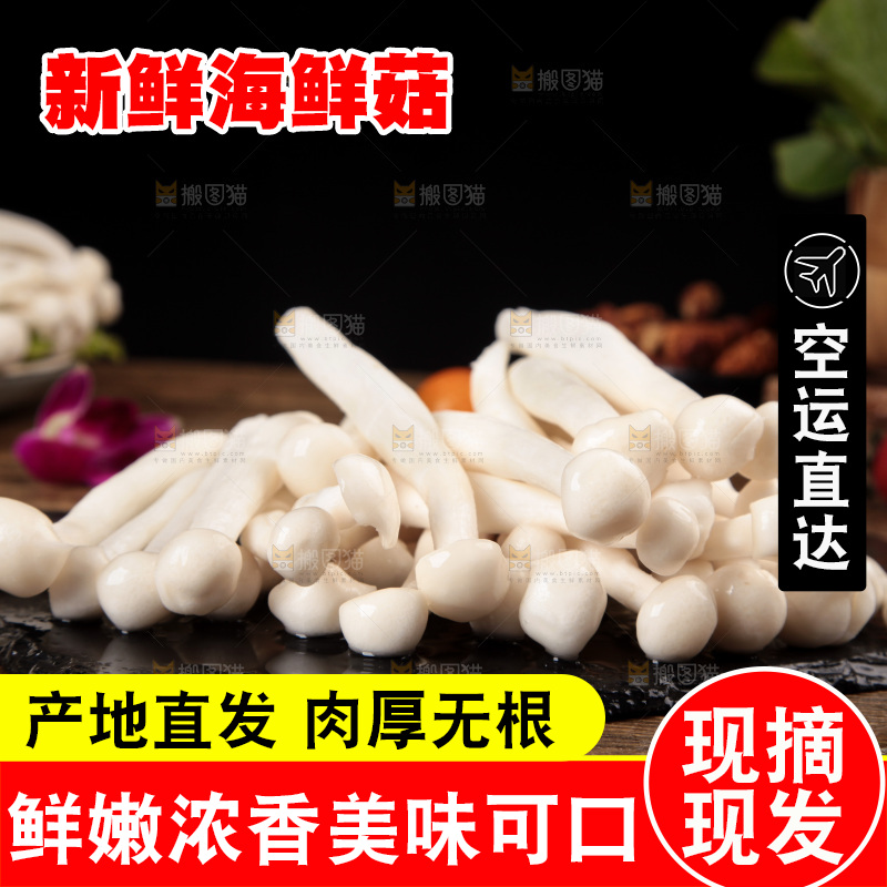 深底上的海鲜菇