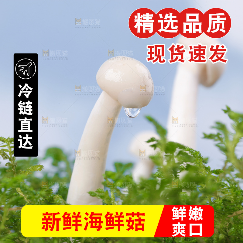 深底上的海鲜菇