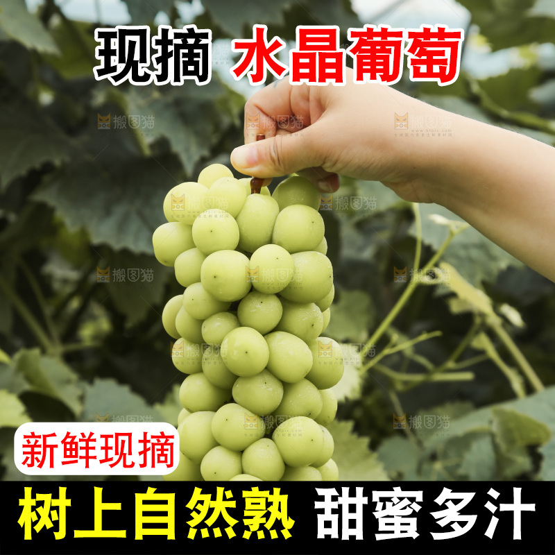手里拿着水晶葡萄