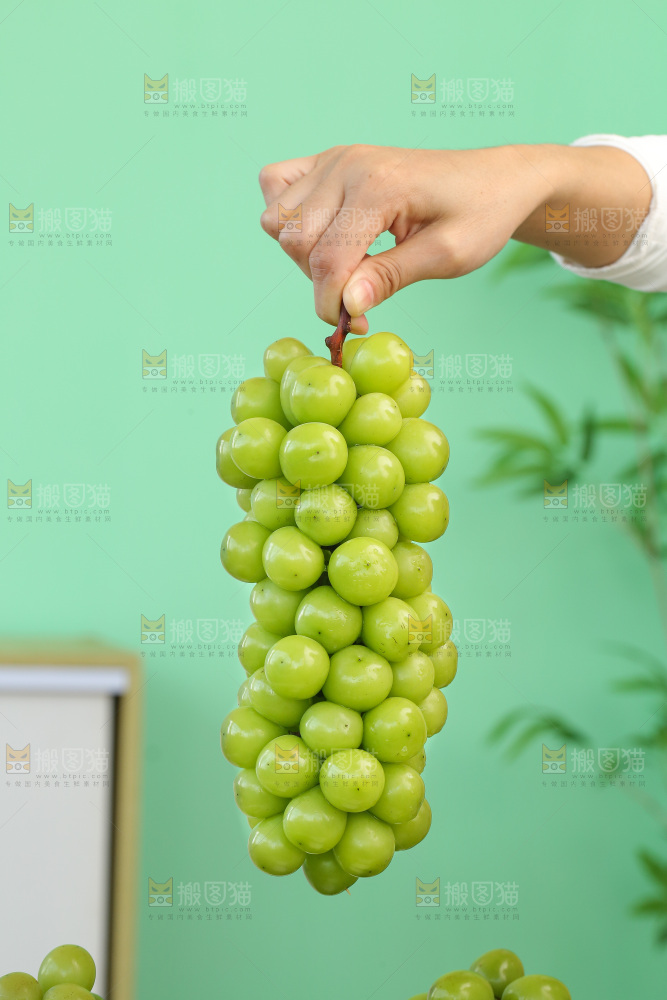 阳光玫瑰青提