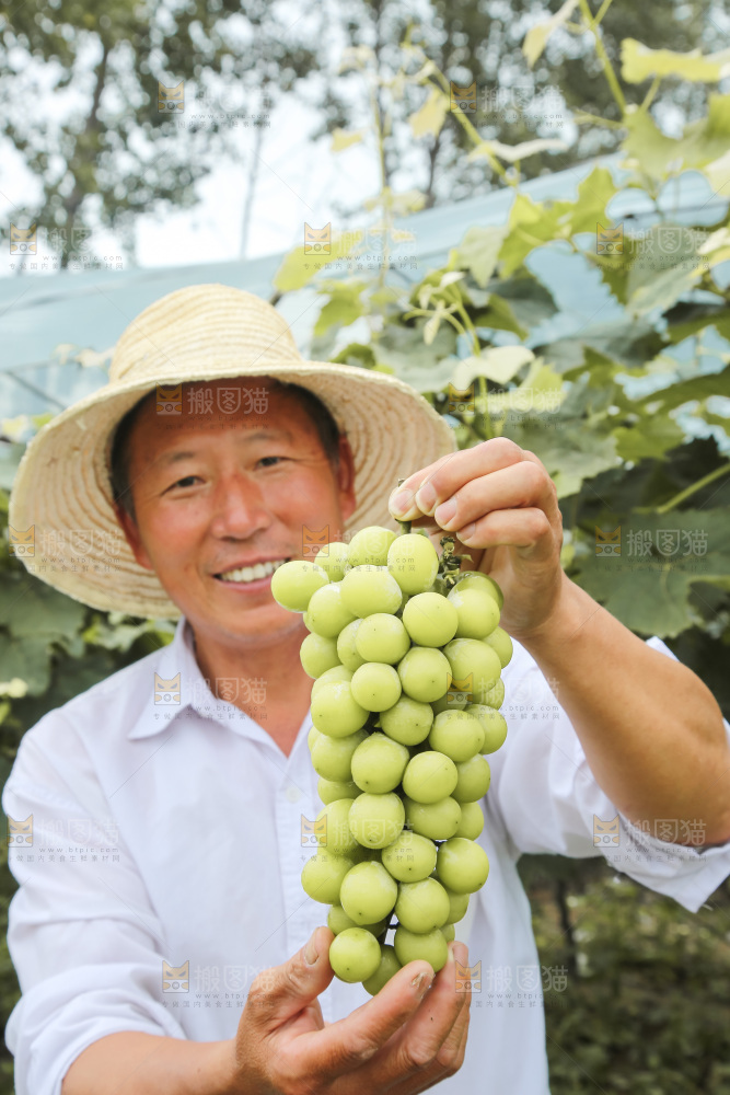 手里拿着水晶葡萄