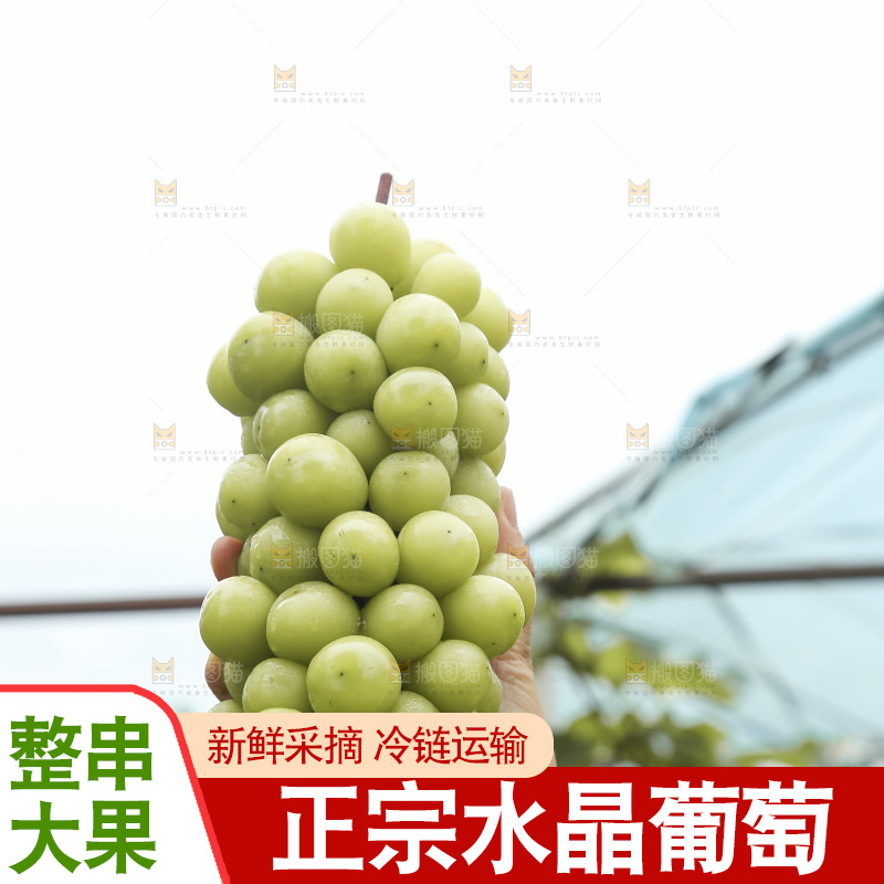 手里拿着水晶葡萄