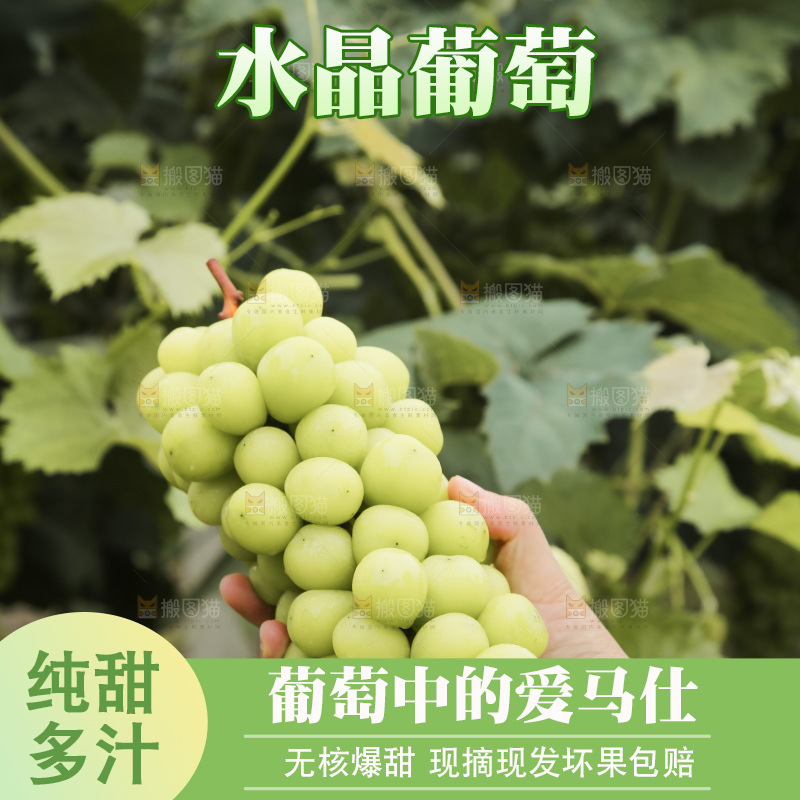 手里拿着水晶葡萄