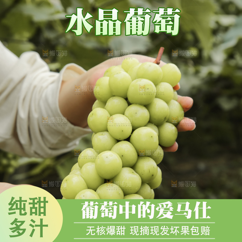 手里拿着水晶葡萄