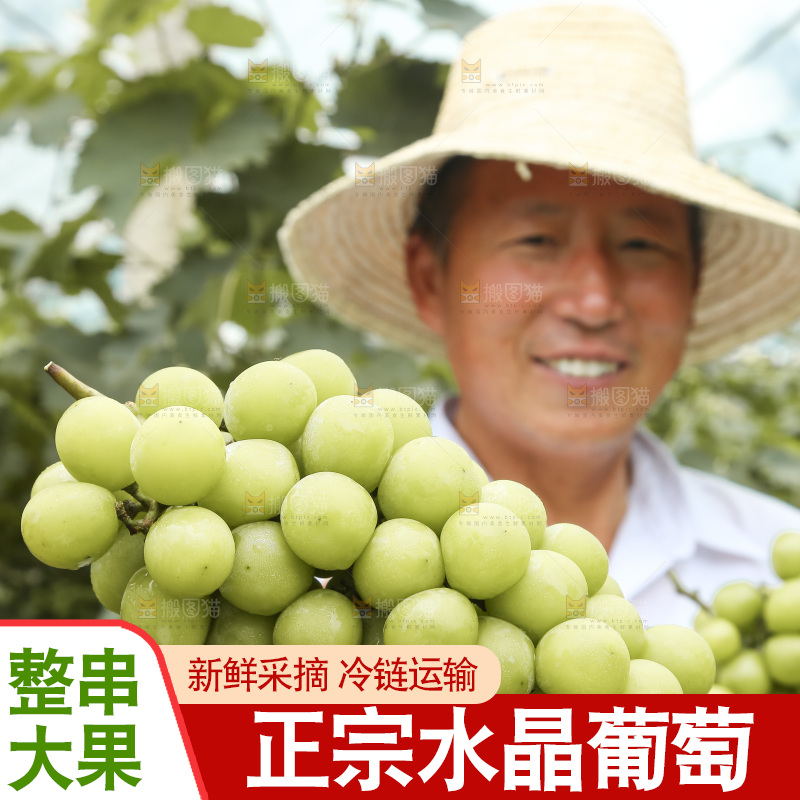手里拿着水晶葡萄