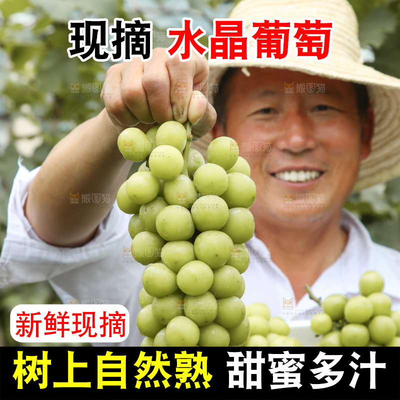 手里拿着水晶葡萄