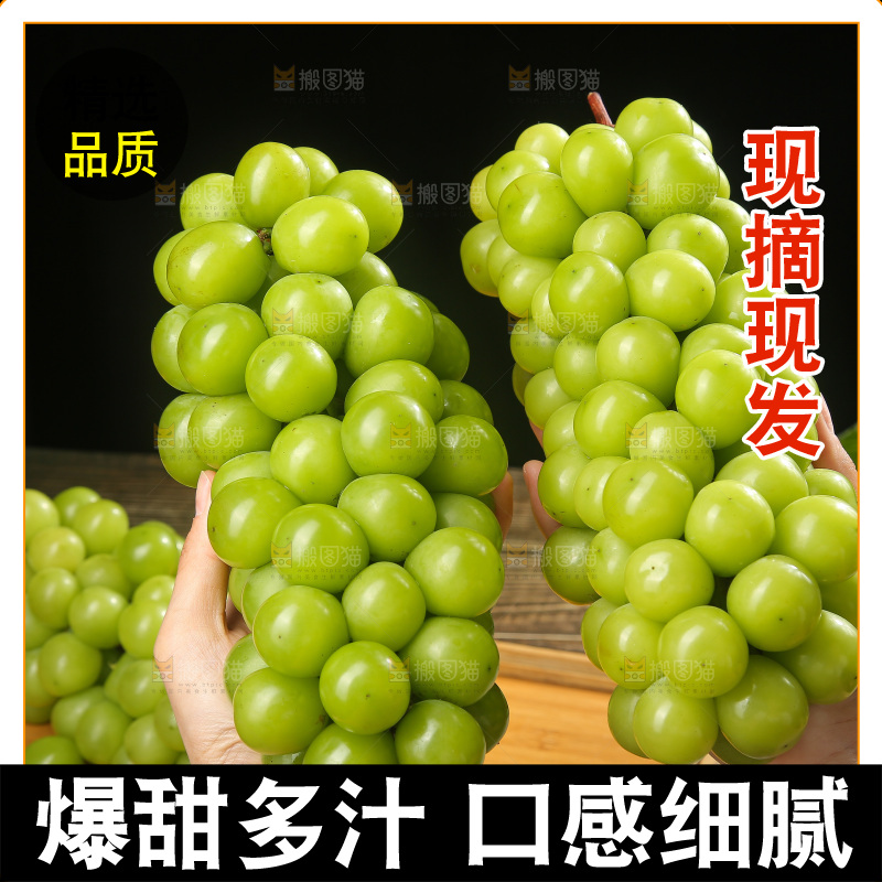 深底上放着阳光玫瑰青提