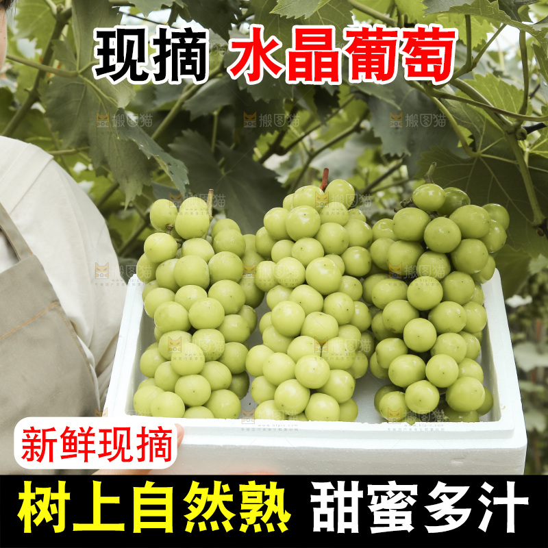手里拿着水晶葡萄