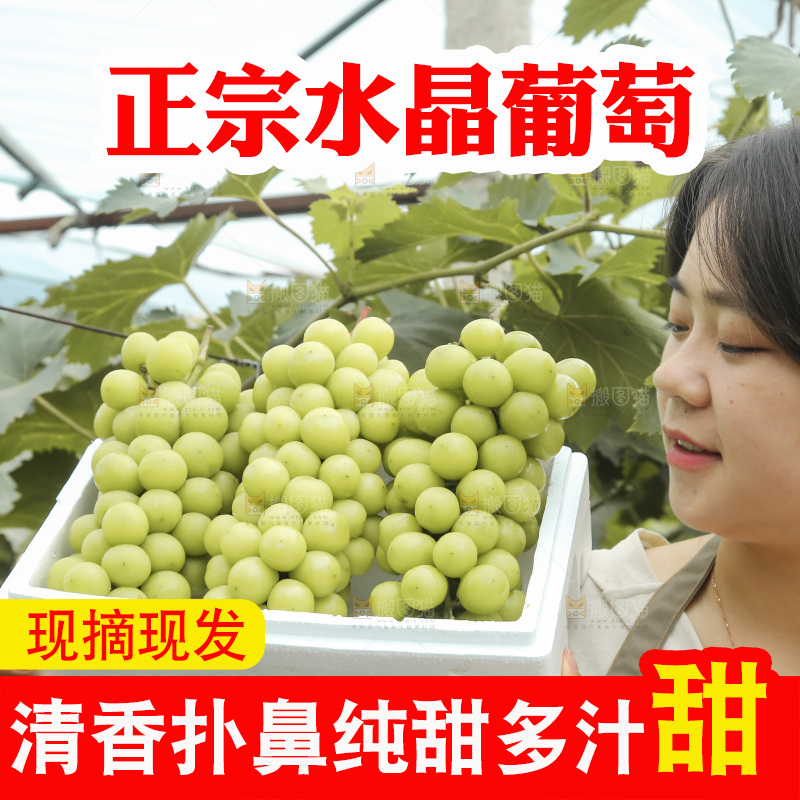 手里拿着水晶葡萄