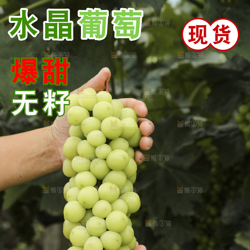 手里拿着水晶葡萄