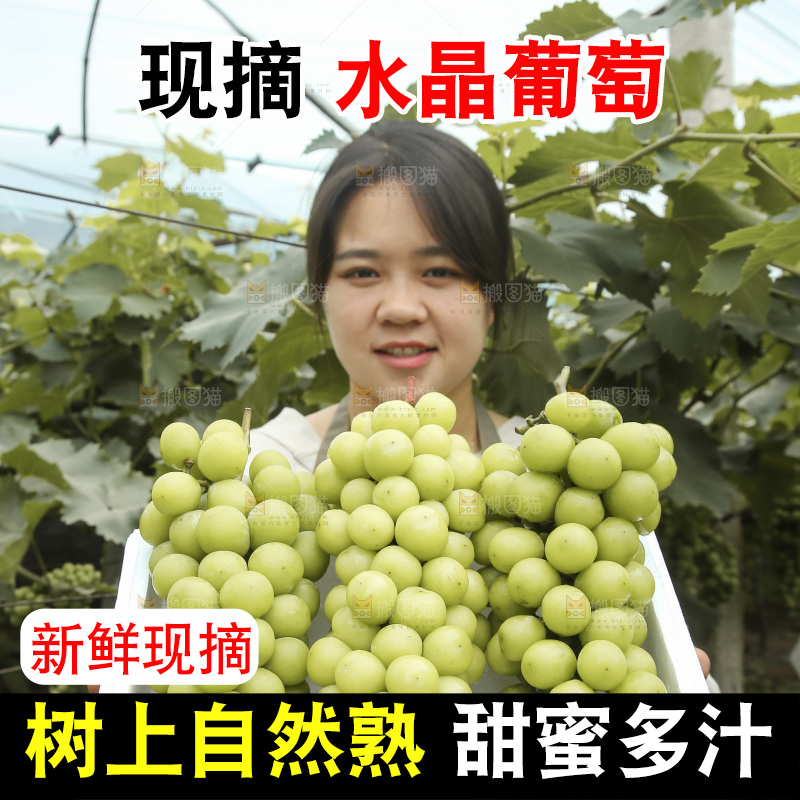 手里拿着水晶葡萄
