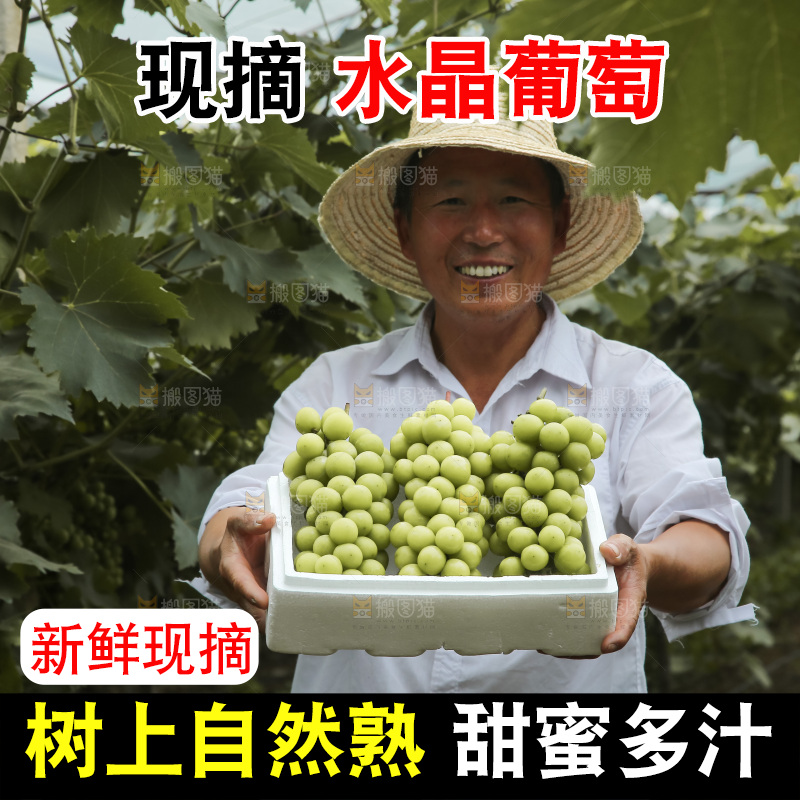 手里拿着水晶葡萄