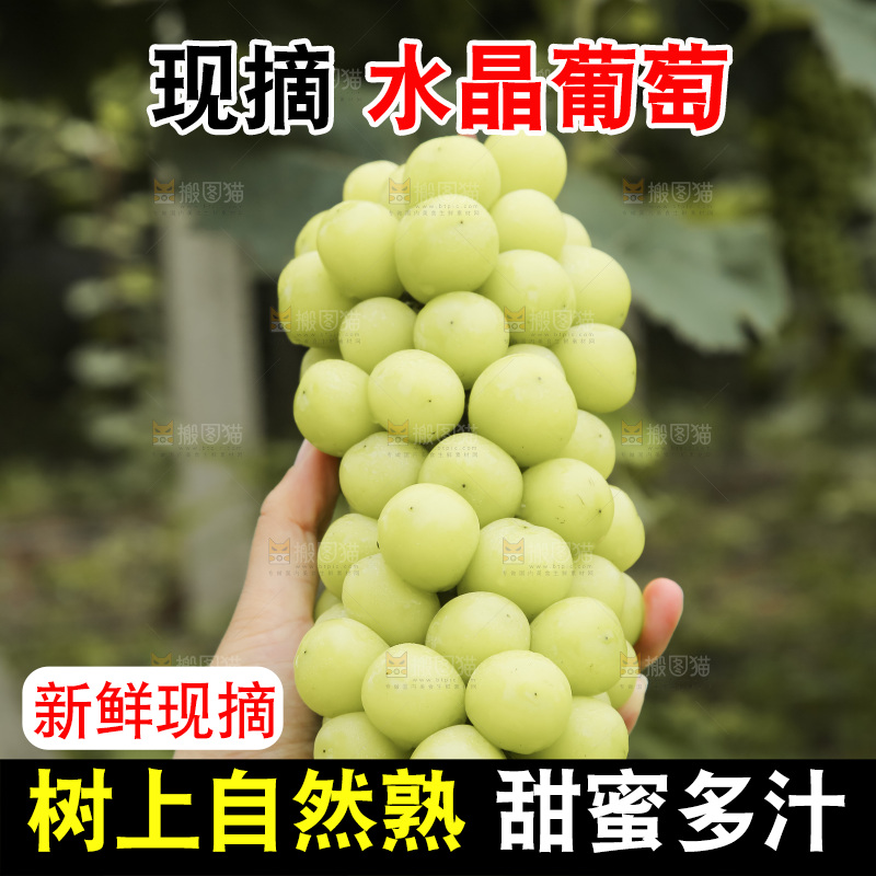 手里拿着水晶葡萄