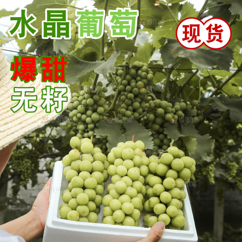 手里拿着水晶葡萄