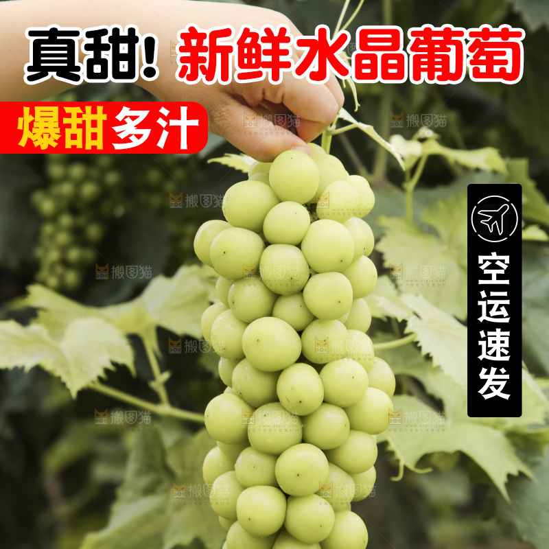 手里拿着水晶葡萄