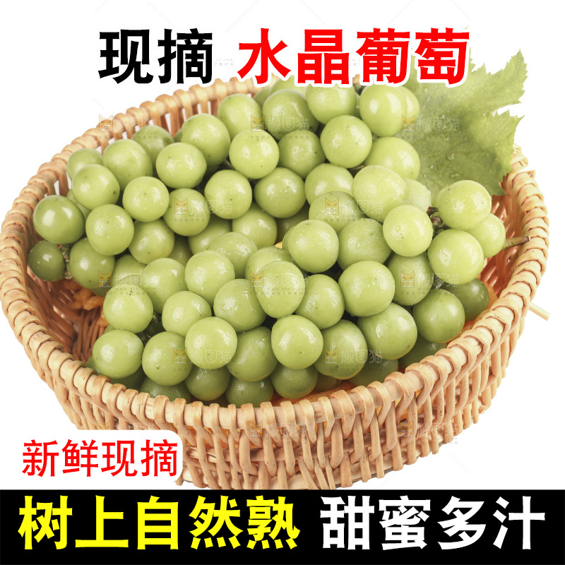白底上的水晶青葡萄