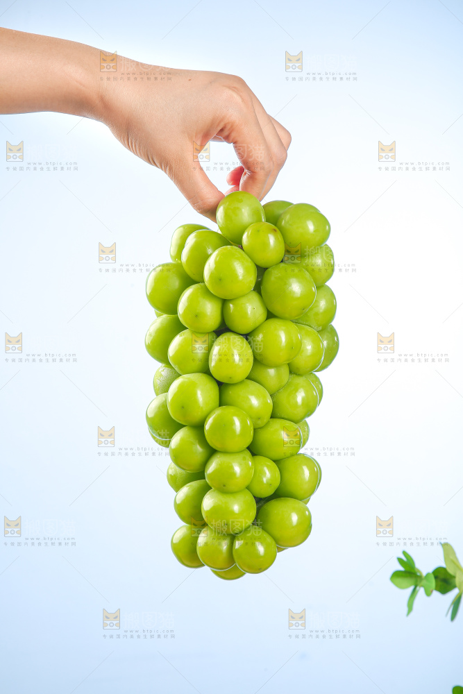 手里拿着阳光玫瑰青提