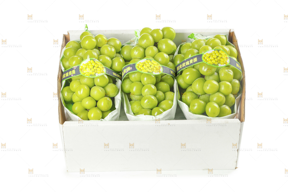 白底上盒子里的阳光玫瑰