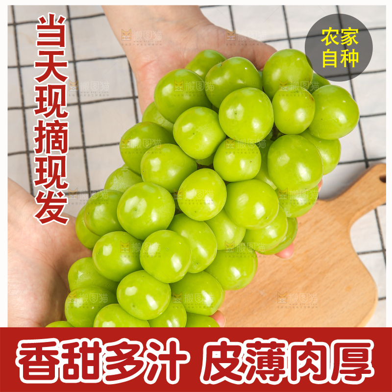 手里拿着阳光玫瑰青提