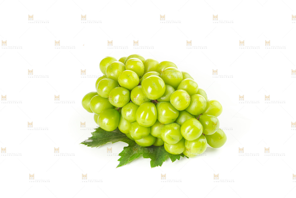 阳光玫瑰