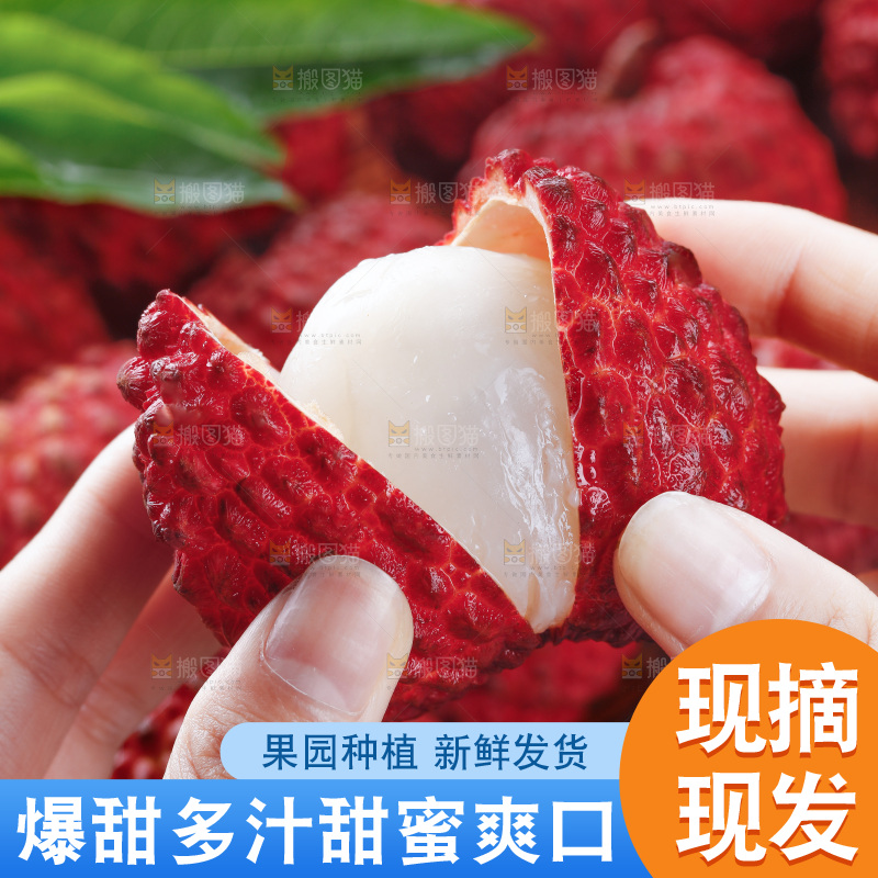 深底上的荔枝王