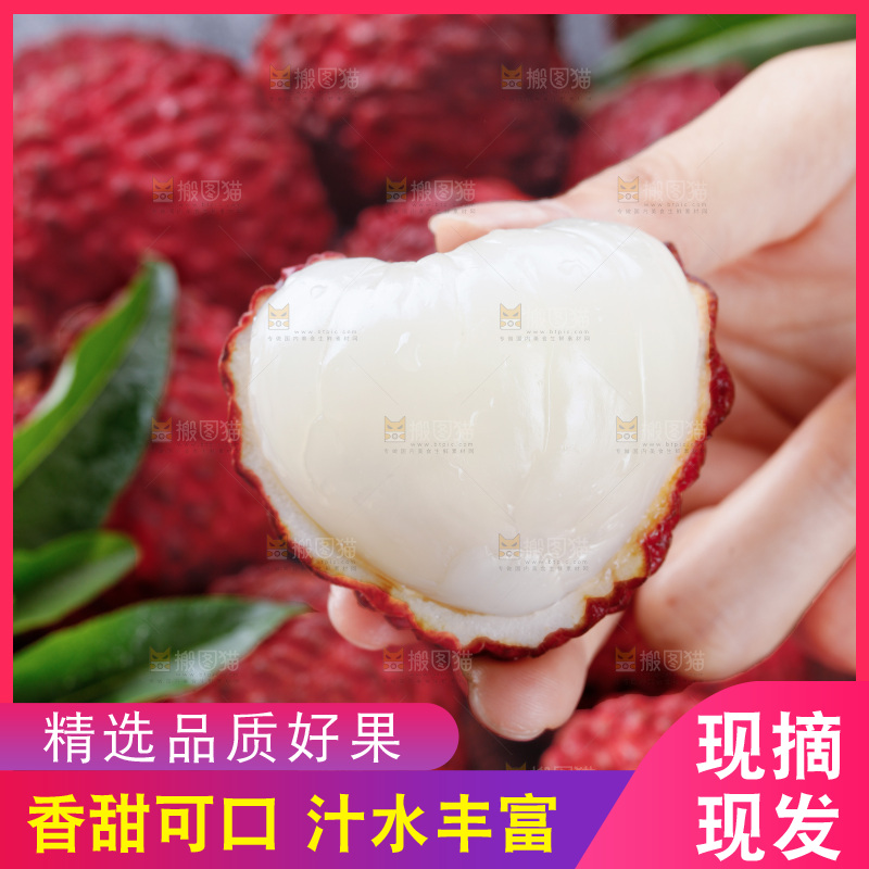 深底上的荔枝王