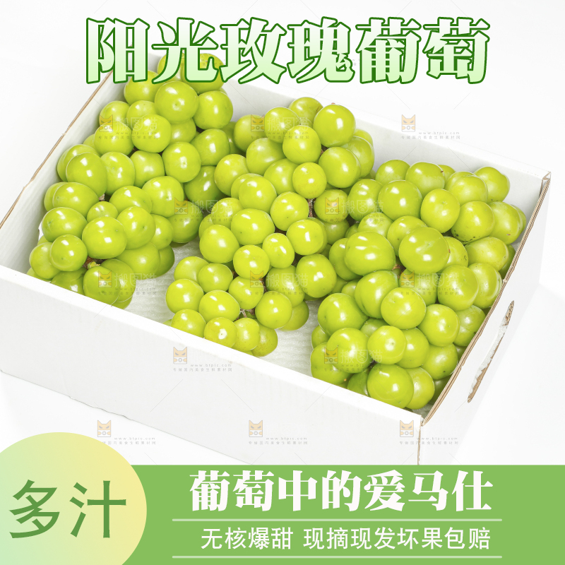 白底上的阳光玫瑰青提