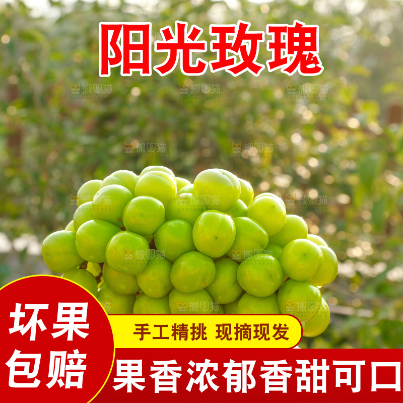 手里拿着一箱阳光玫瑰