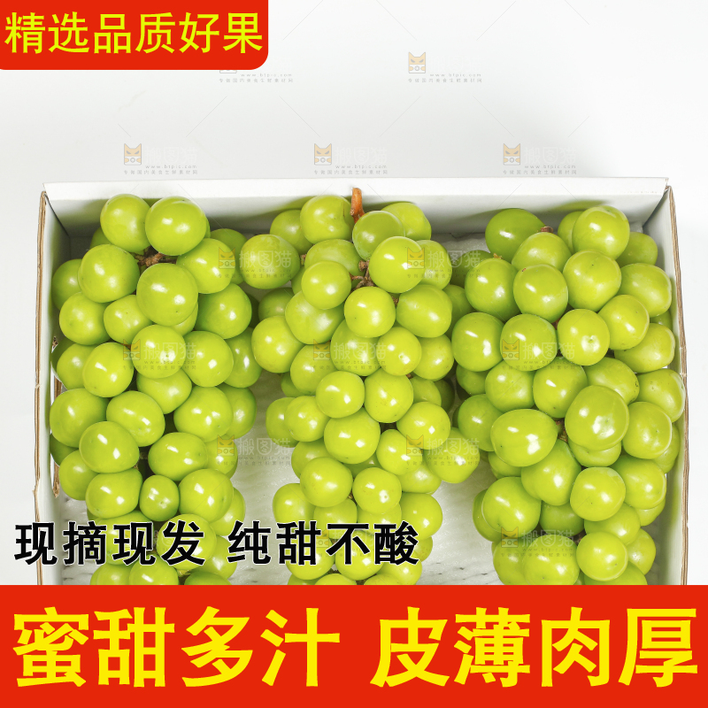白底上的阳光玫瑰青提