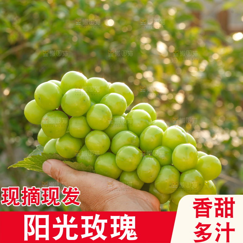 手里拿着一箱阳光玫瑰