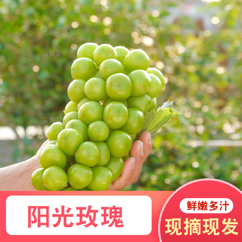 手里拿着一箱阳光玫瑰