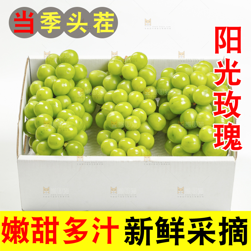 白底上的阳光玫瑰青提