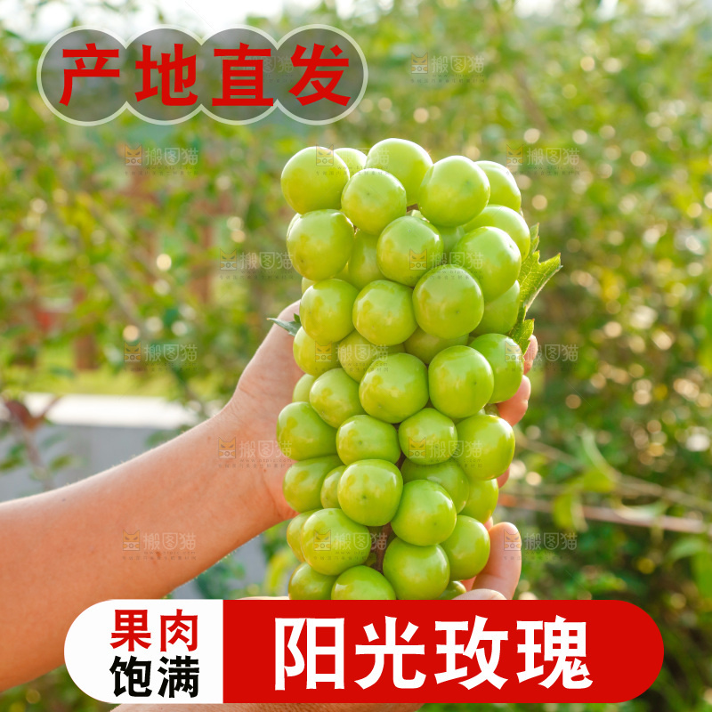 手里拿着一箱阳光玫瑰