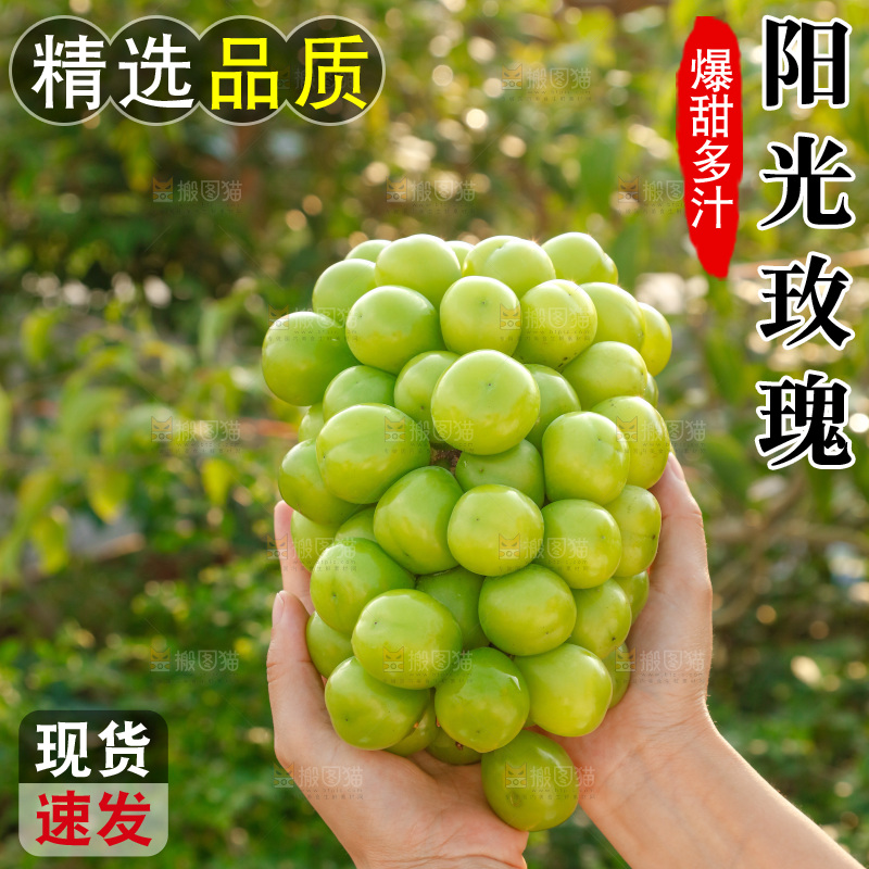 手里拿着一箱阳光玫瑰