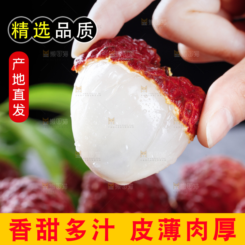 深底上的荔枝王