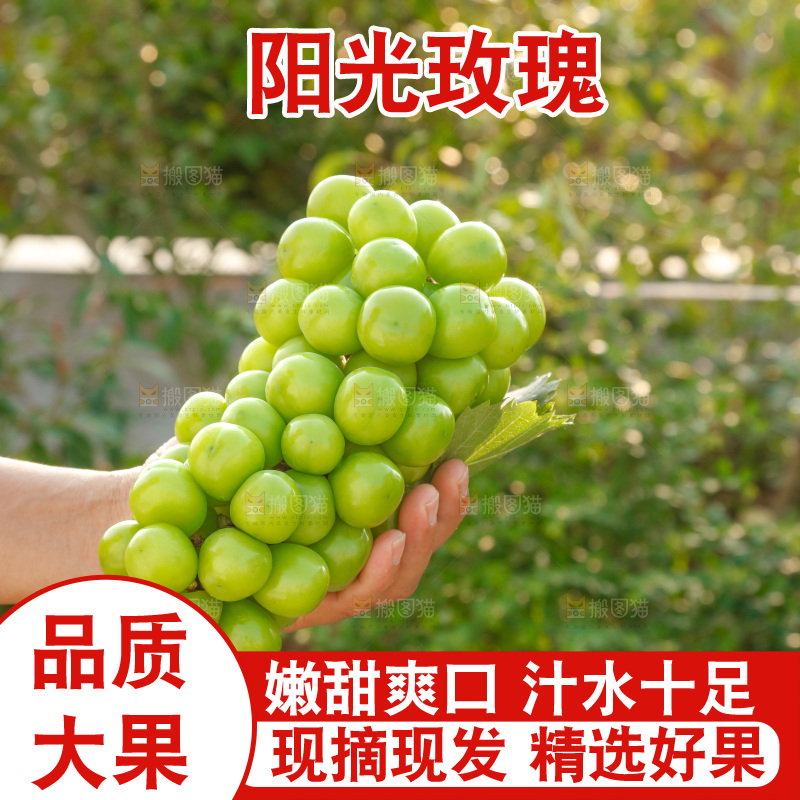 手里拿着一箱阳光玫瑰