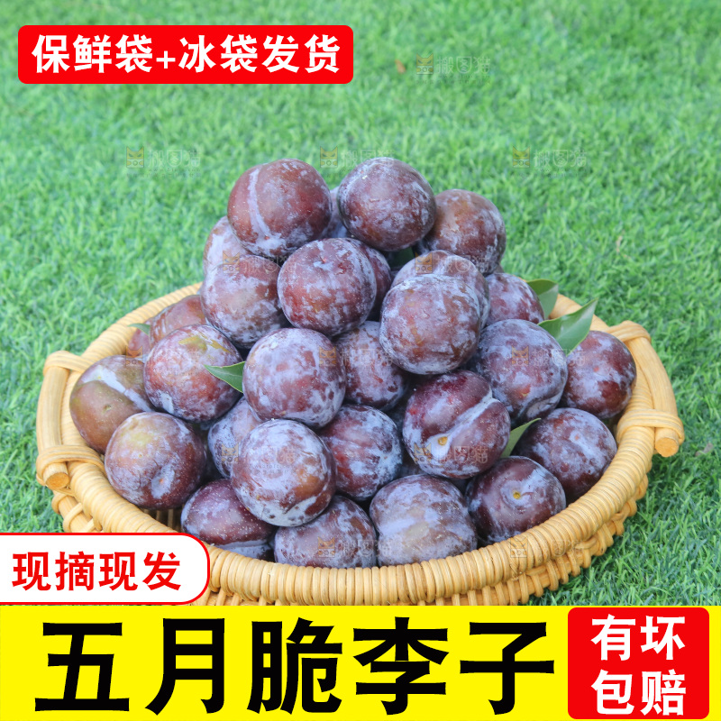 草地上放着五月脆李
