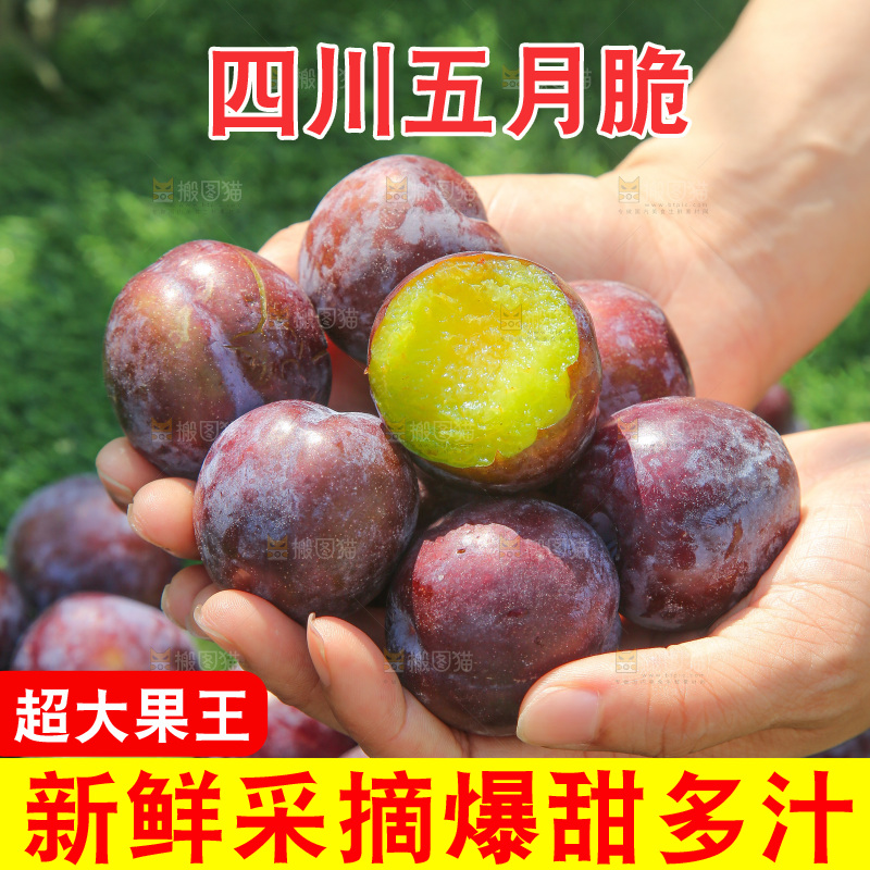 手里拿着五月脆李