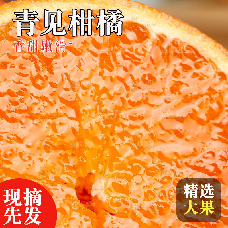 浅底上的青见