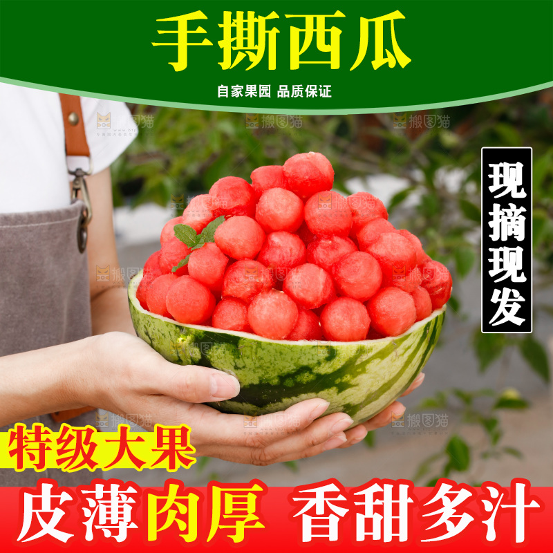 手里拿着红瓤西瓜