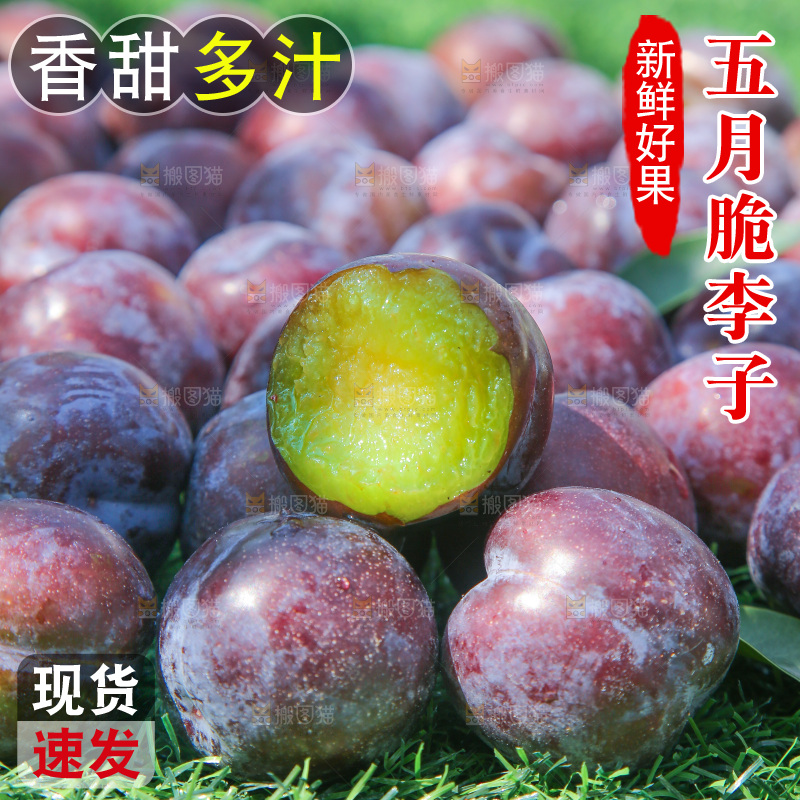 草地上放着五月脆李