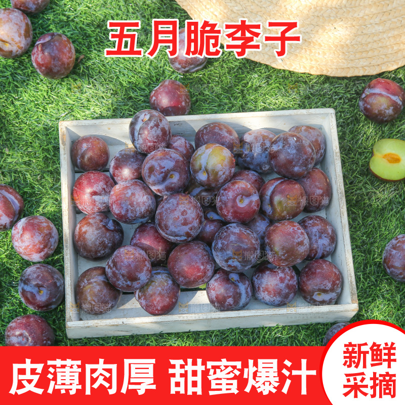 草地上放着五月脆李