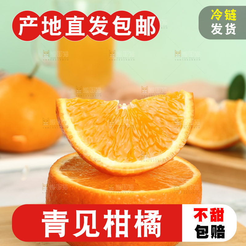 浅底上的青见