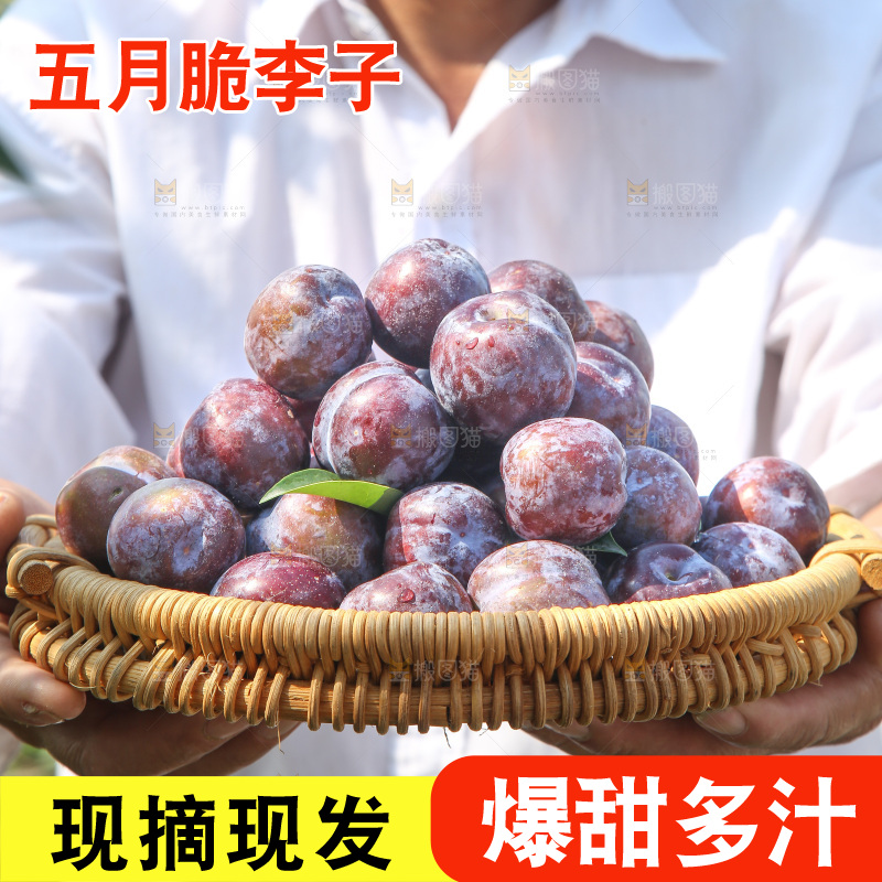 手里拿着五月脆李