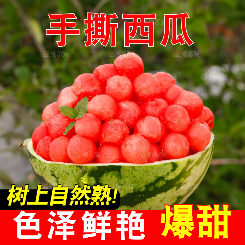 麒麟西瓜主图