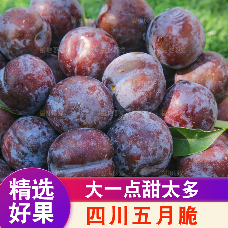 草地上放着五月脆李