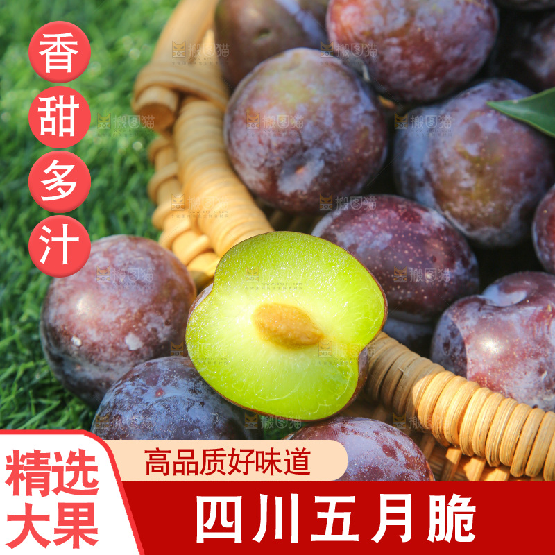 草地上放着五月脆李