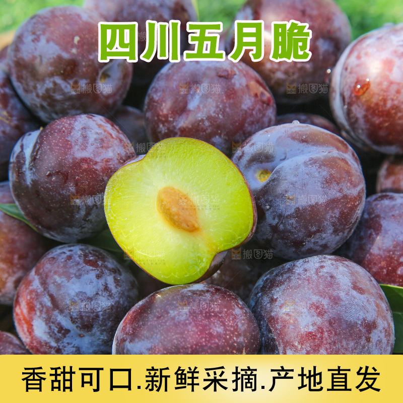 草地上放着五月脆李