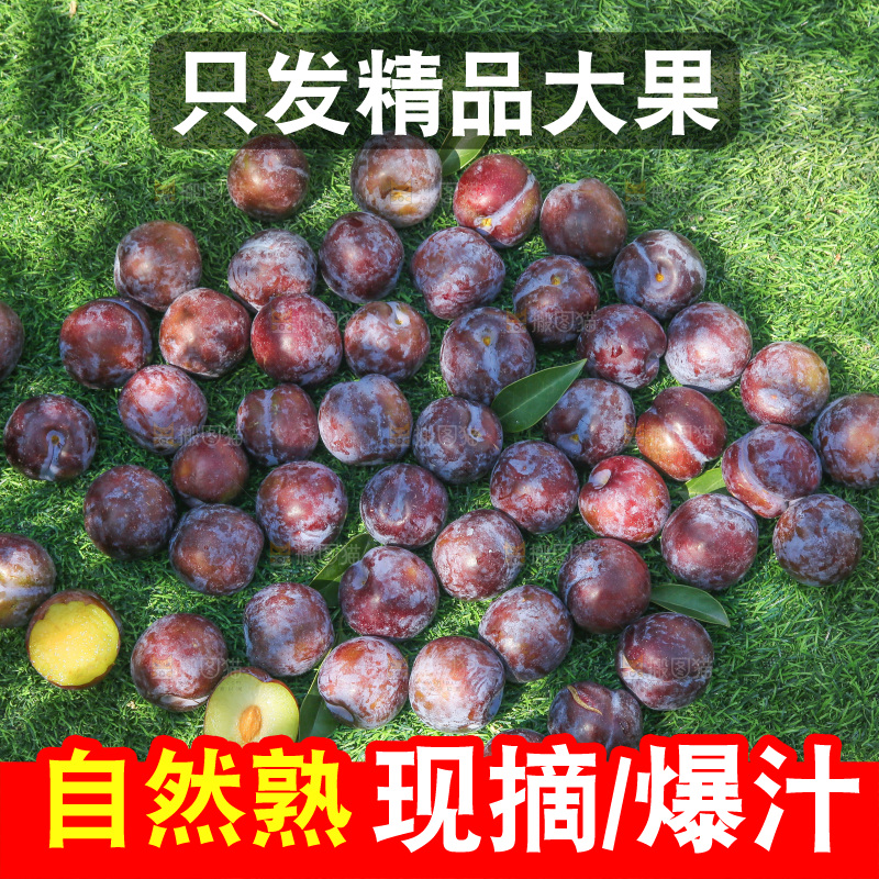 草地上放着五月脆李